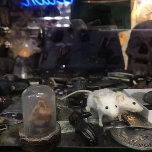 Mice with two heads, not sure if it's real or not but def weird