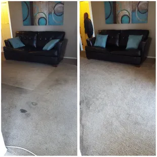 Excellent job on my carpet and very professional!! Highly recommended!!!