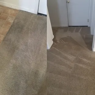 Honestly, I'm no photog and these photos don't do the work justice! In person, my carpets look wonderful!!!