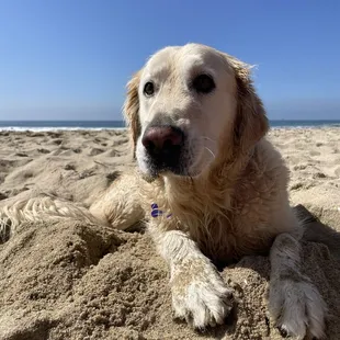 Sorry, this is not at the restaurant, but couldn't resist.