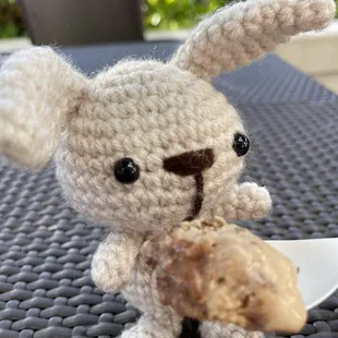 BunBun enjoying Hawaiian Mud Pie