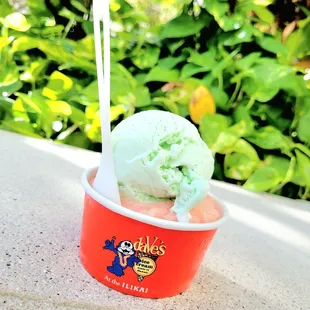 Honeydew mochi &amp; guava sorbet