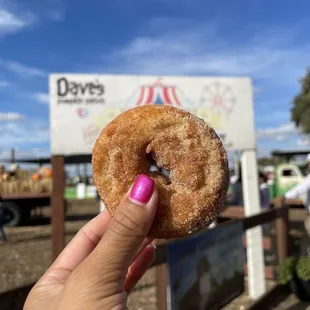 Apple Donuts!