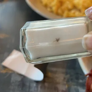 A bug... in the salt shaker... it looks like a tiny fly here but in person it looked like a tiny roach... o