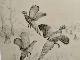 Framin' Place & Gallery