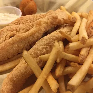 Catfish filets