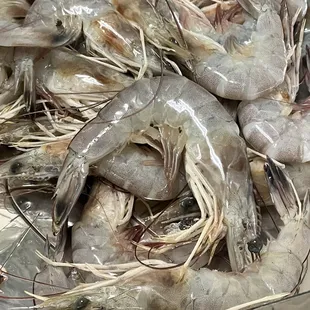 a pile of shrimp