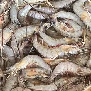 a large pile of shrimp