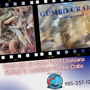 Now selling Gumbo Crabs