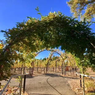 Follow these arcs to the waterfall
