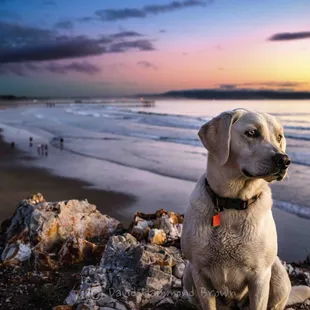 Sunset w/ Best Friend