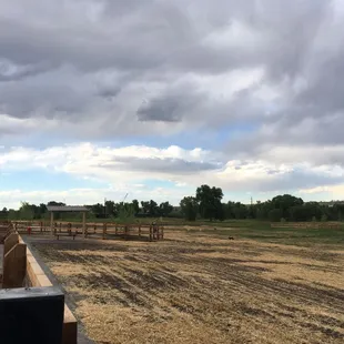 Plenty of space to roam