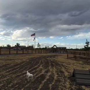 Small dog park side not as huge