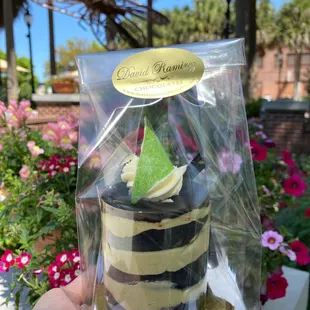 Sicilian pistachio chocolate cake