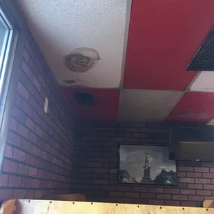 Eek!  Is this going to fall in, or just spread mold into the restaurant?!?