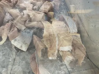 Hollywood Fish Market