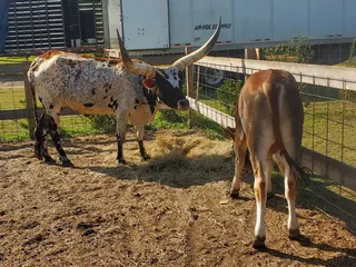 Lum's Farmers Market