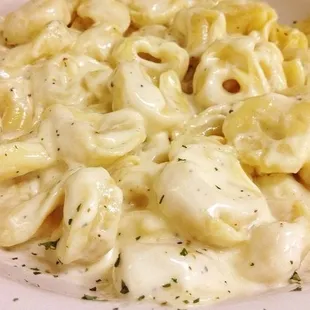 a plate of pasta and cheese