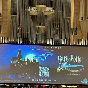 Harry Potter {8/17/2024}