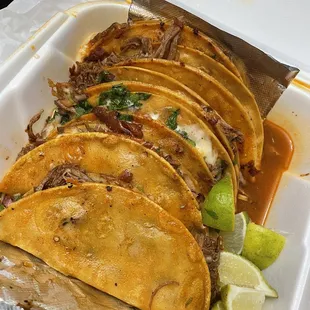 Birria tacos