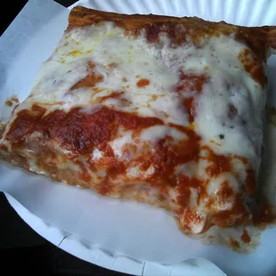 Light, fresh, and a crisp crust. Get a slice or two whenever in the area. My mom and aunt, from Italy, brought me to this place years back.