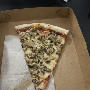 Mushroom pizza