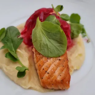 Salmon with turnip puree