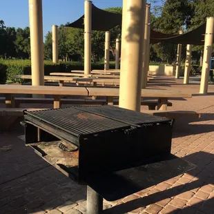 Will you like to barbecue?
