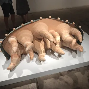 Barbara Jo  "Sea Denizen'