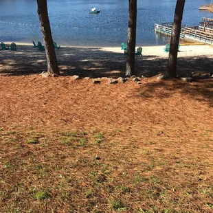 Davis Lakes Beach dock