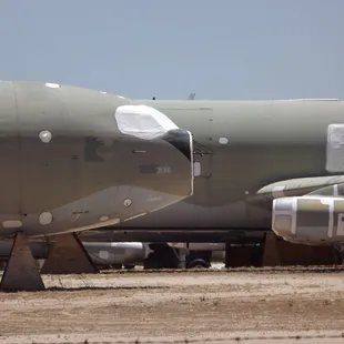 I took this picture looking over a fence.