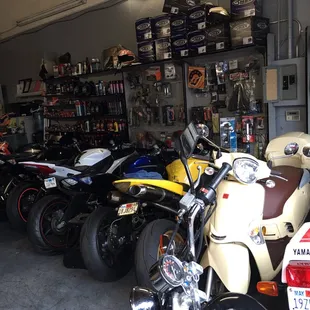 Davis Motorsports
