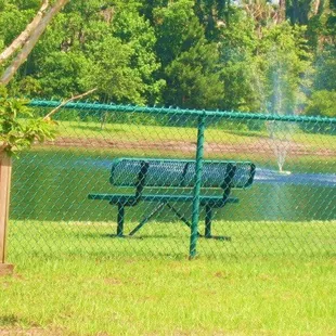 Bench in Dog Park area