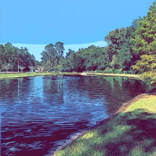Lake view