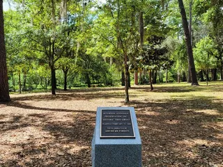 Boone Park