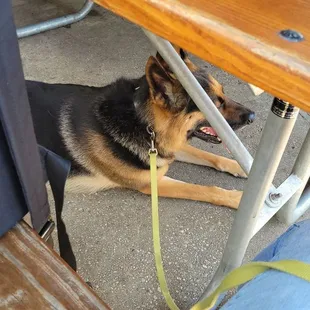 Dog friendly outdoor seating