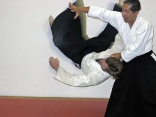 Aikido Institute Davis