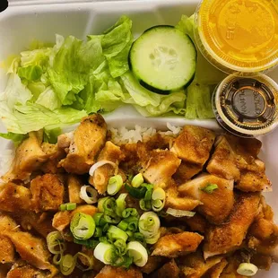Teriyaki Plate