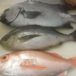 Isaki