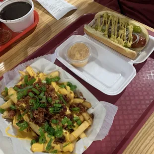 Loaded fries chipotle on the side and polish dog