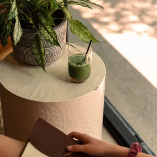 a woman reading a book and a plant