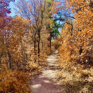 On the trail - were able to see some beautiful fall colors.