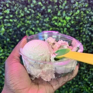 Peanut Butter Fudge Ice Cream