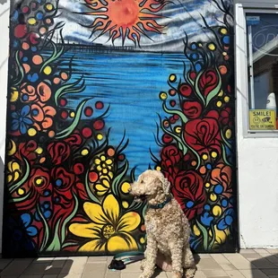 a dog sitting in front of a mural