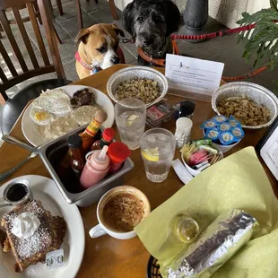 Good food for all. The two tin plates are for the puppies.