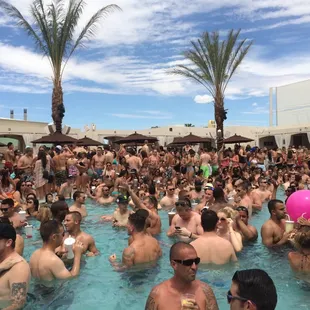 During Krewella's performance!