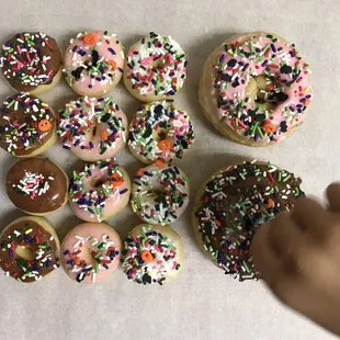 Mini donuts are here!!