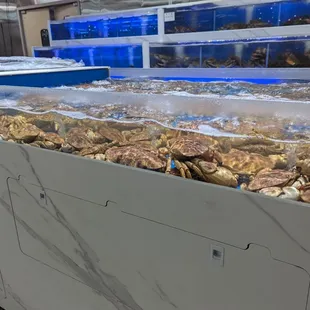 Seafood area - crabs