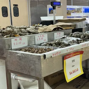 Incredible seafood variety