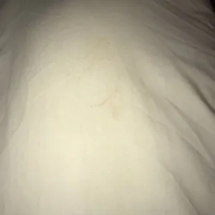Closer shot of one of many stains on the pillows